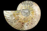 Agatized Ammonite Fossil (Half) - Crystal Chambers #116795-1